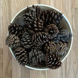 Bucket full of Decorative Natural Pine Cones- comes w pine cones not bucket